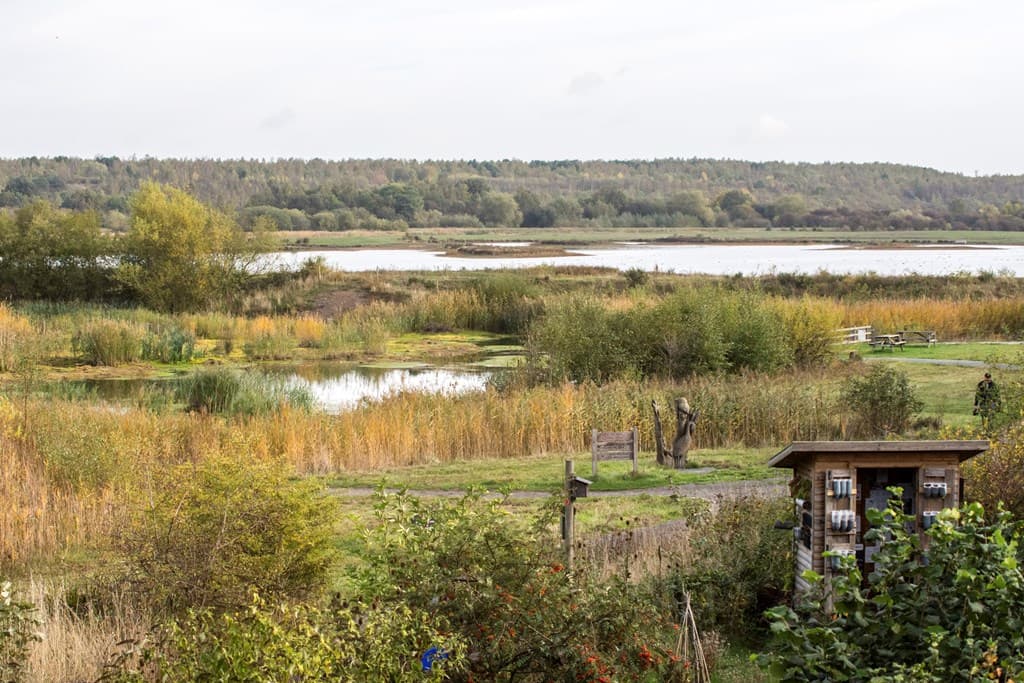 RSPB Dearne Valley - Old Moor - Nature Reserves in wombwell