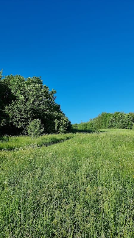 Lush green grass and trees under a clear blue sky at Shire Brook Valley Nature Reserve car park.