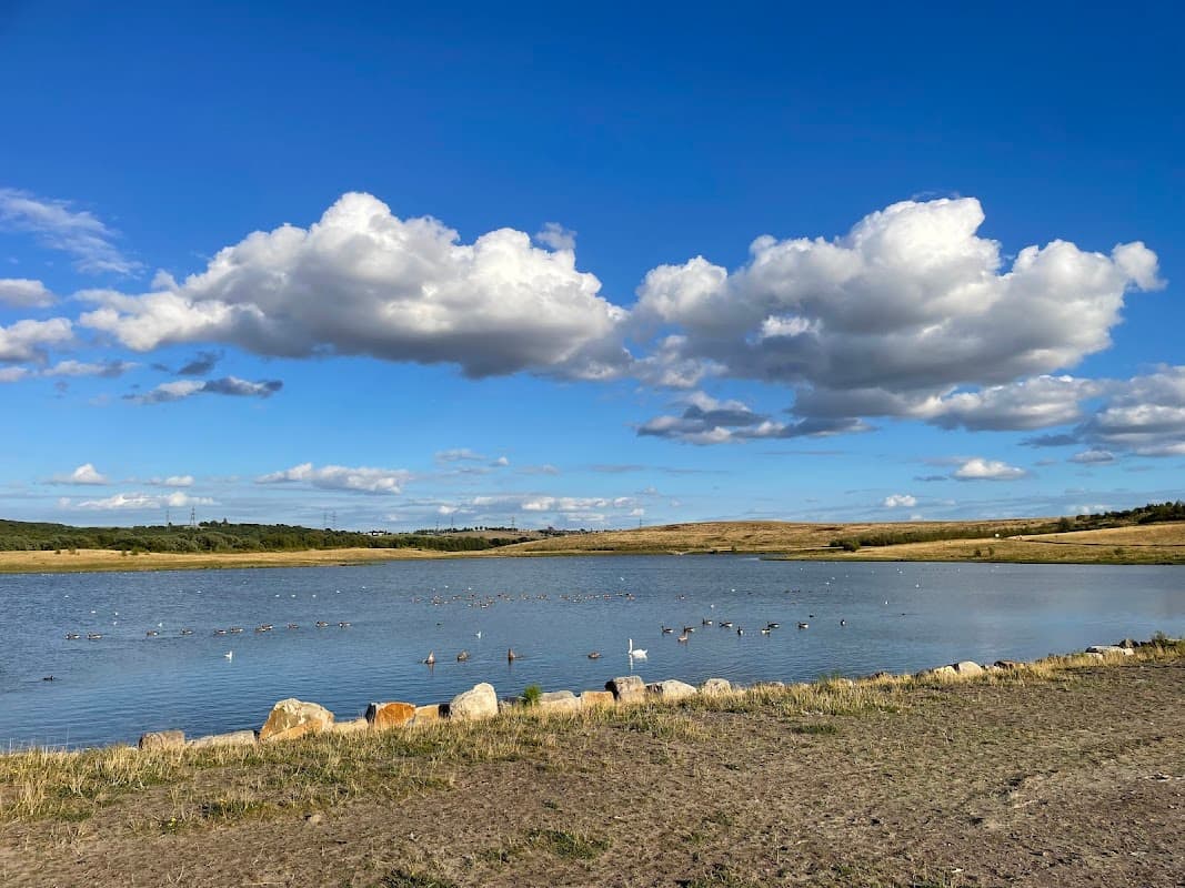Waverley Lakes & Park - Park in woodhouse
