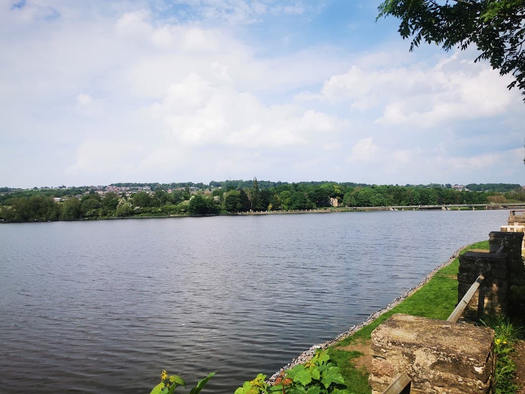 Scenic view of a lake surrounded by greenery under a cloudy sky, with a distant bridge and buildings visible.