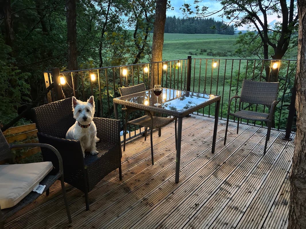 A cozy deck with a table and chairs, surrounded by trees, featuring a dog sitting on a chair and soft lighting.