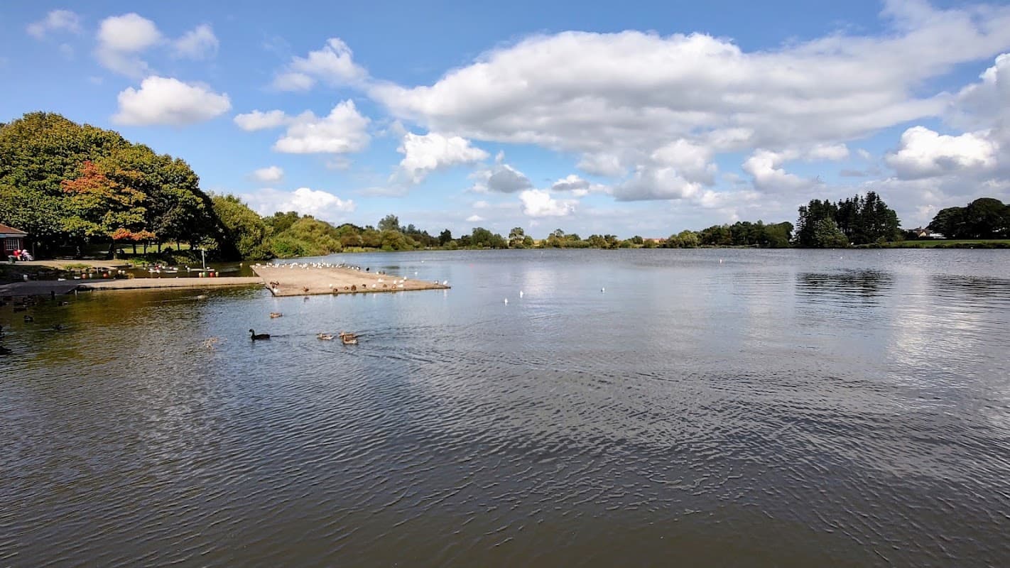 Scenic view of Yeadon Tarn with ducks, lush trees, and a blue sky dotted with fluffy clouds.