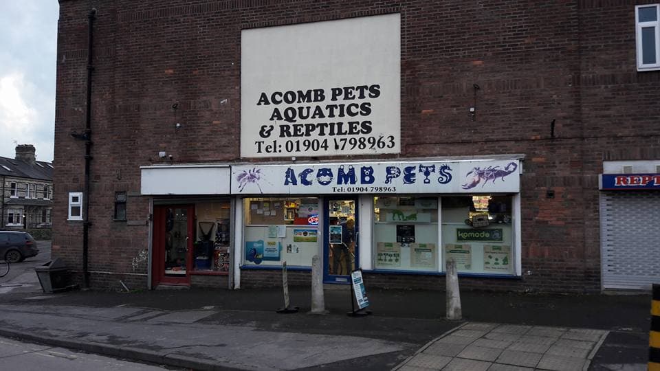 Storefront of Acomb Pets Aquatics & Reptiles, featuring signage and windows displaying pet products in York, Yorkshire.
