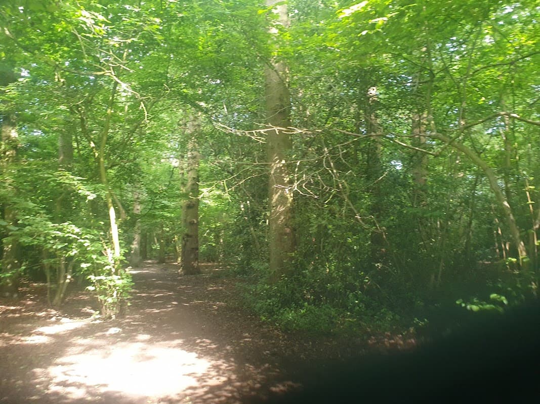 Acomb Wood & Natural Reserve - Nature Reserves in york
