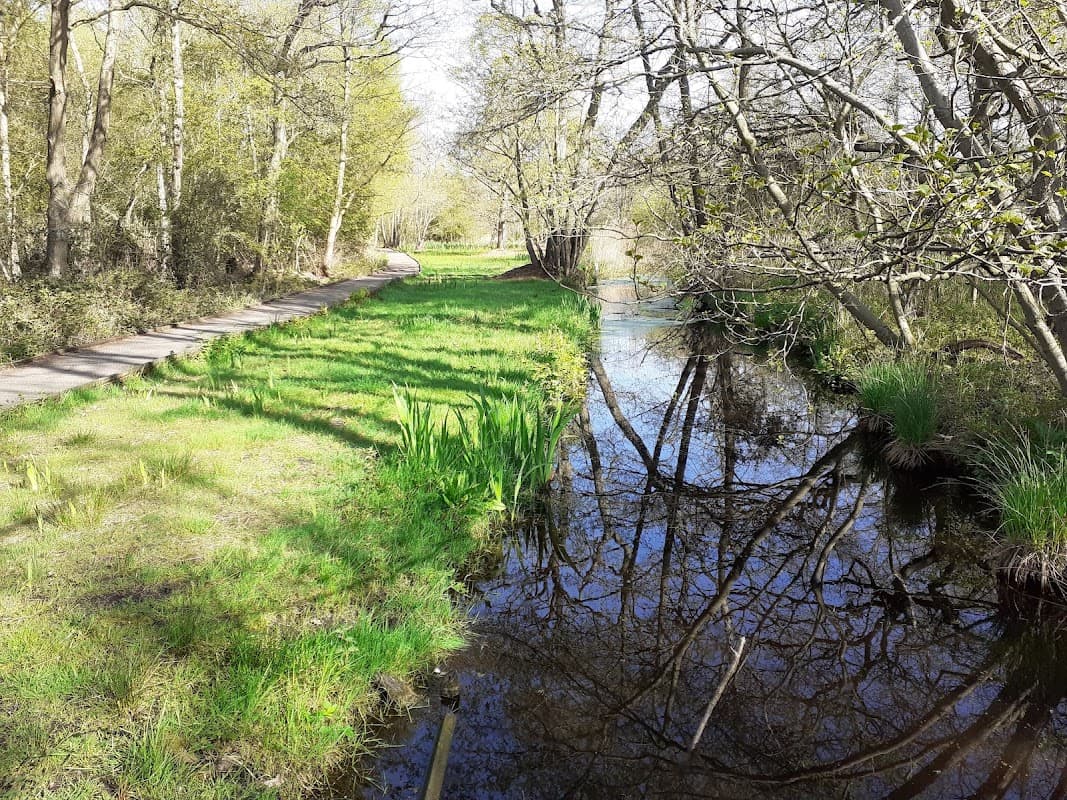 Askham Bog Nature Reserve - Nature Reserves in york