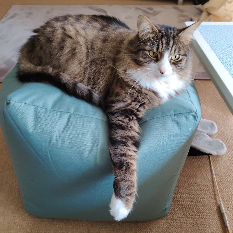 Blue Cross Pet Care Clinic - Vets in york