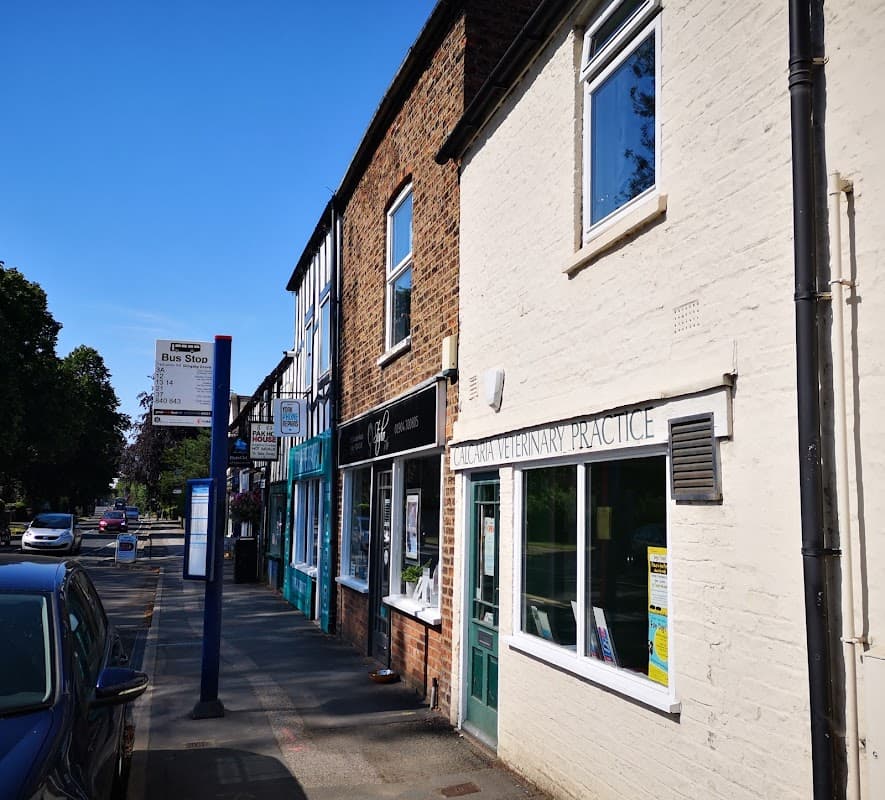 Calcaria Veterinary Practice - Vets in york
