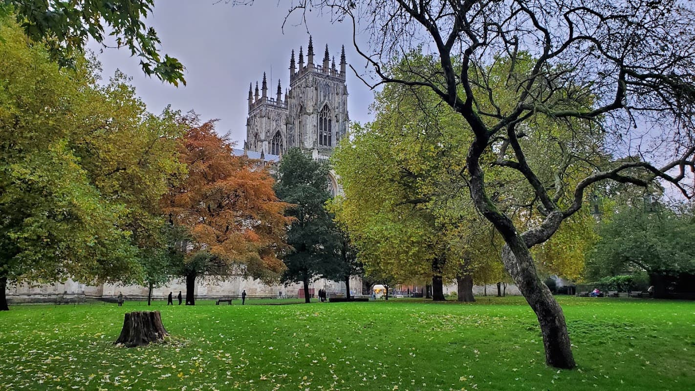 Lush green grass with trees in autumn colors and a historic cathedral tower in the background.
