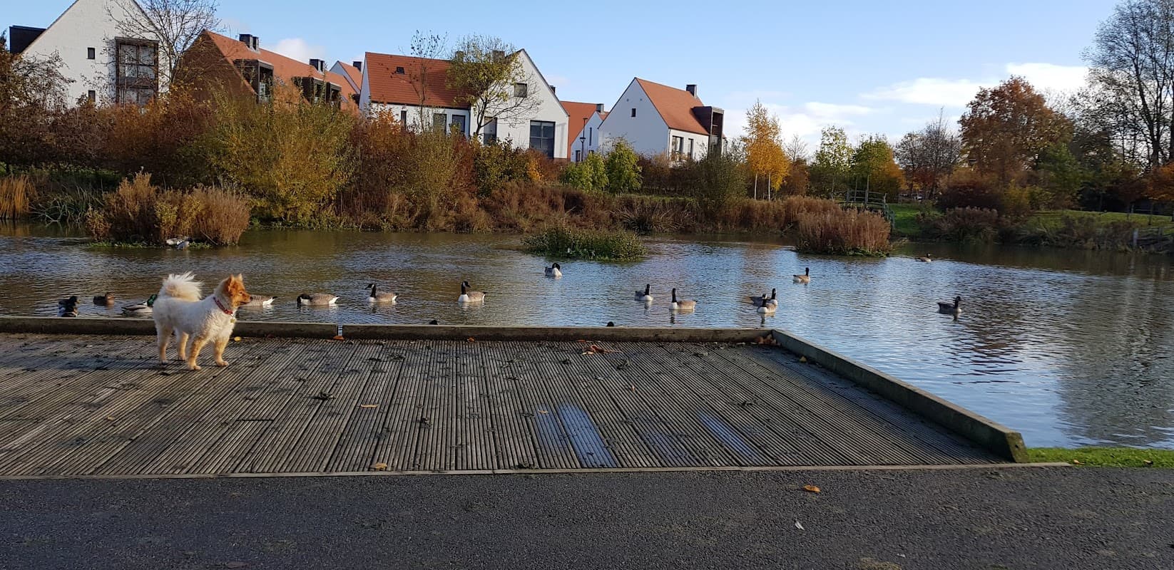Derwenthorpe Childrens Park - Playgrounds in york