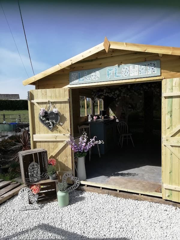 Quaint wooden shed with "Ello Flower" sign, floral decorations, and gravel path in sunny outdoor setting.