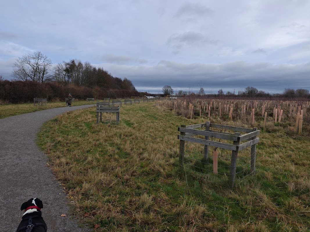 Forestry England York Community Woodland - Park in york