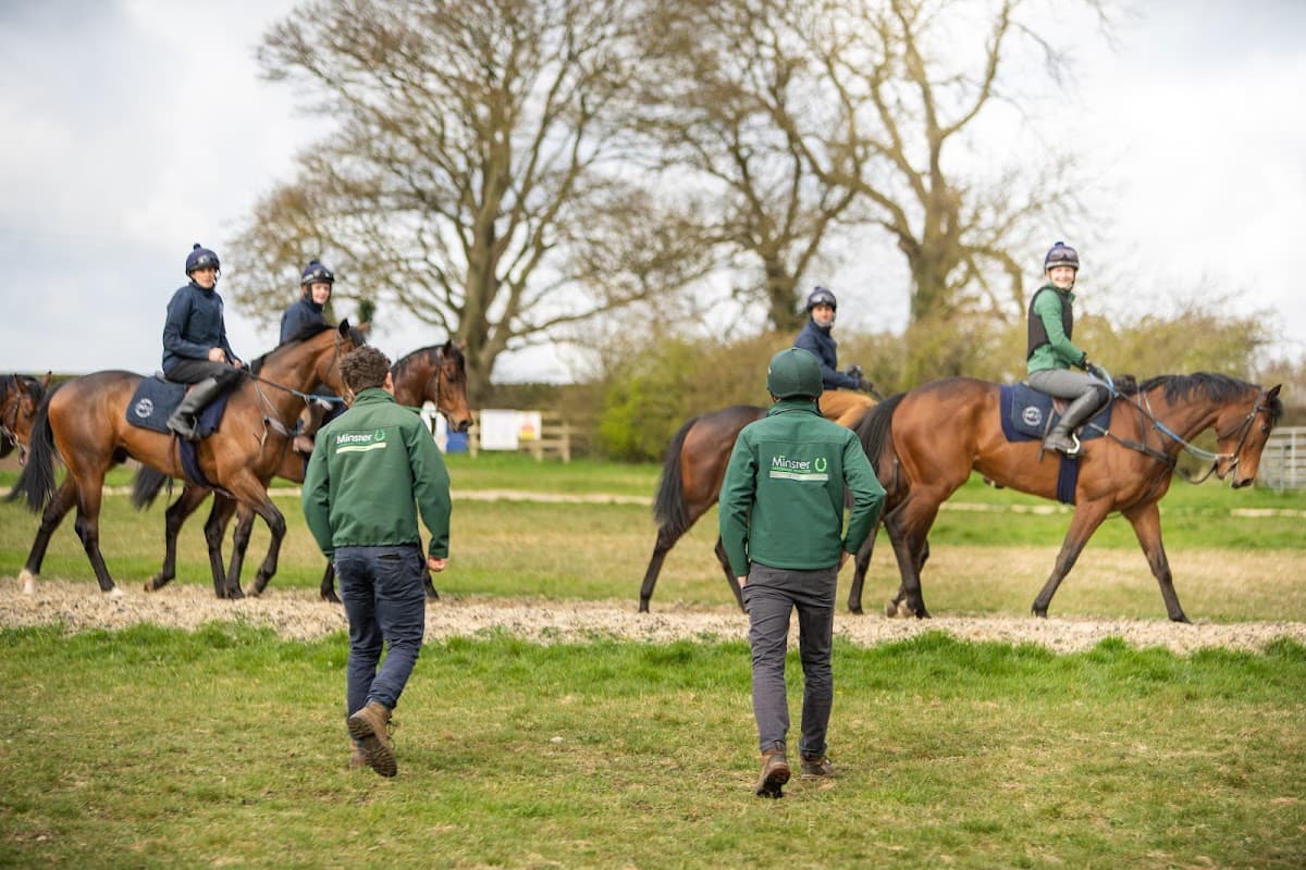 Minster Equine Practice, Poppleton - Vets in york