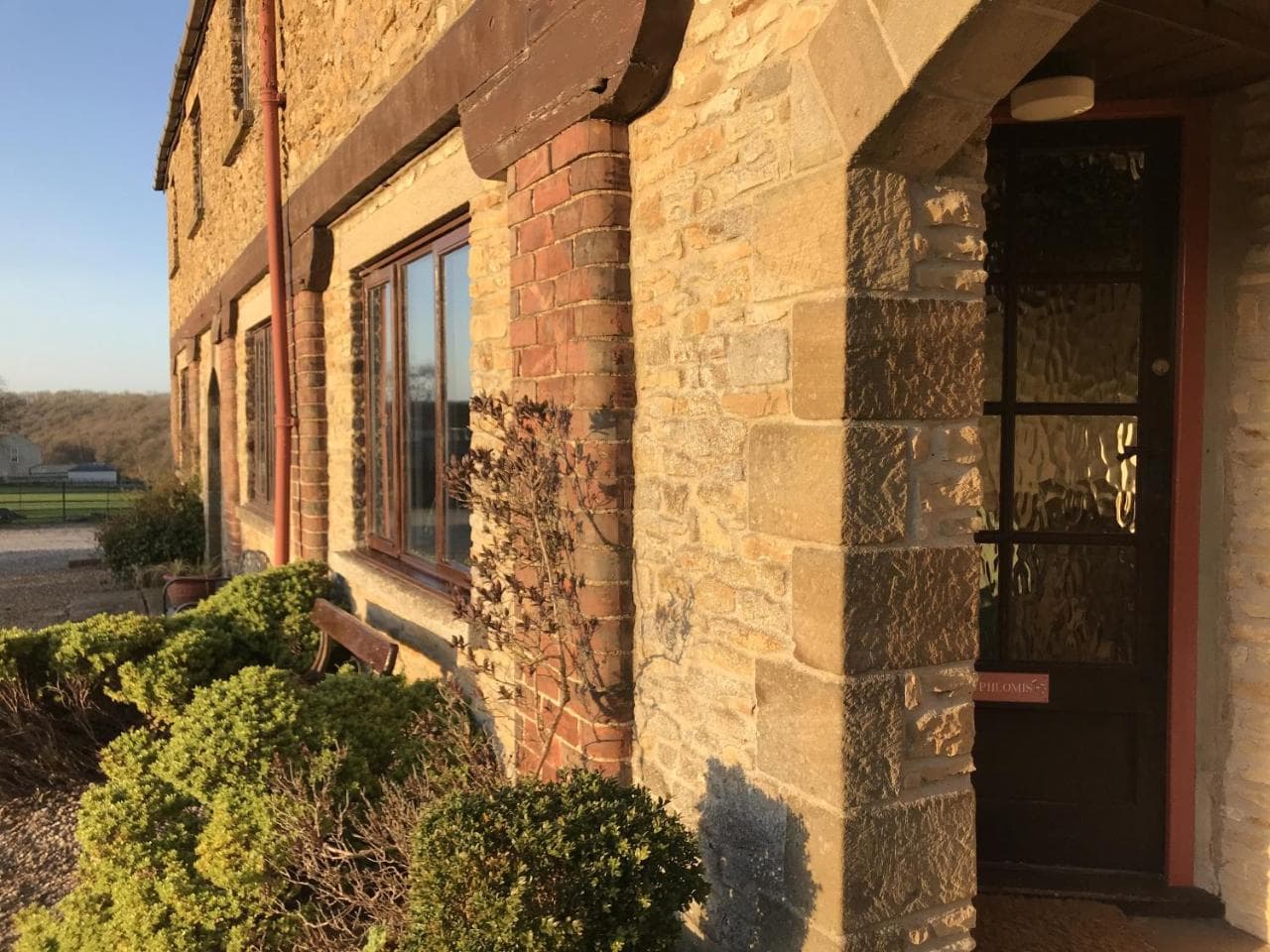 Phlomis, York, Yorkshire