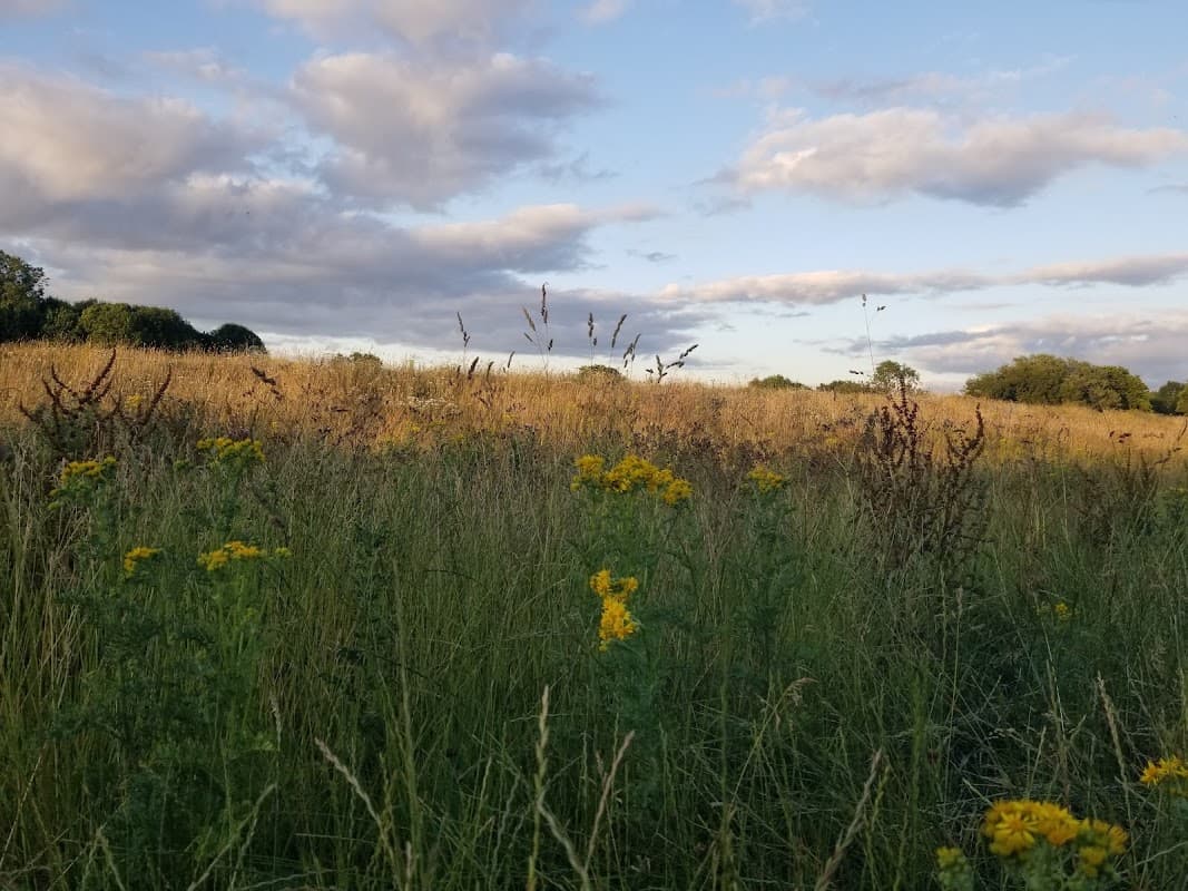 Rawcliffe Country Park - Park in york