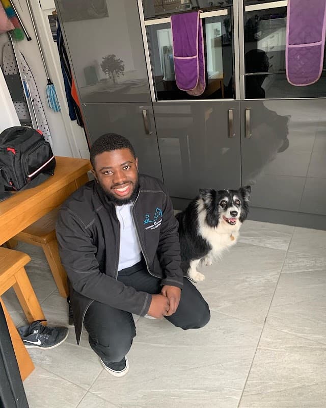 SLC Veterinary Physiotherapy - Physiotherapists in york