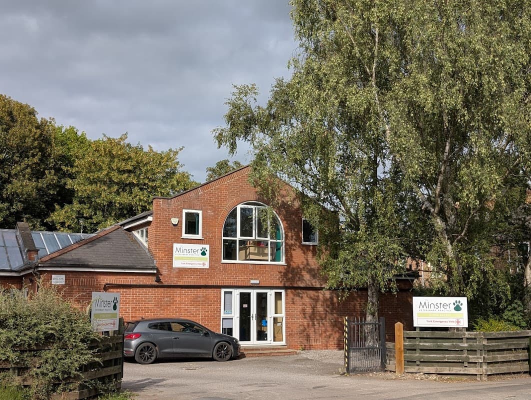 Minster Veterinary Practice building with large windows, greenery, and signage on a cloudy day.