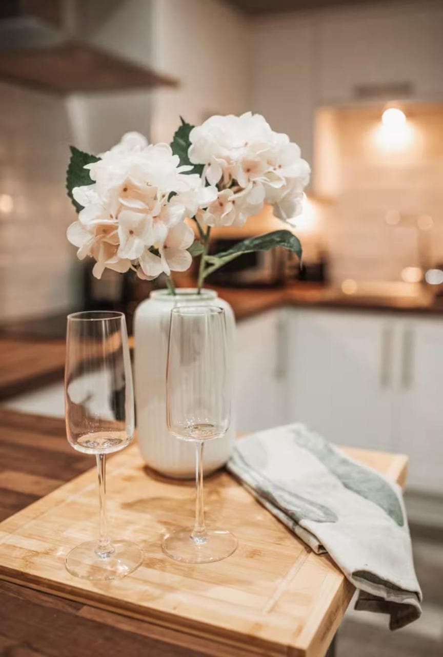 The Oasis Garden Flat, York, Yorkshire