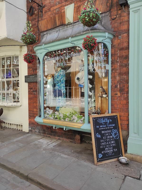 Charming gift shop with a decorative window display, featuring plants, clothing, and a menu board outside.