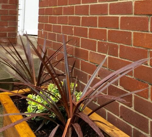 Apartment 61 Image 3