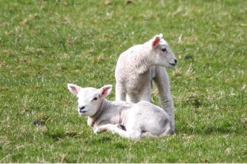 Spacious and bright 1 - bedroom rental unit Image 3