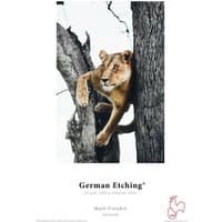 Hahnemühle German Etching Art paper pack with a lioness image, 25 sheets, textured surface, white background.