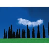 Hama 67 mm camera lens filter with black rim and clear glass, designed for enhancing image quality.