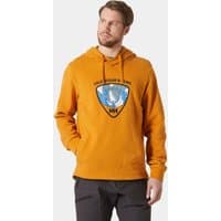 Brown Helly Hansen hoodie with Arctic Ocean logo, drawstring hood, and ribbed cuffs, size XL.