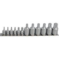 Bluespot Tools 12-piece Torx socket set, silver chrome finish, arranged in ascending size on a metal rail.