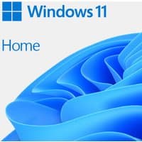 Windows 11 Home software box with blue abstract swirl design and Microsoft logo.