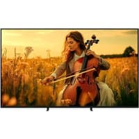 Sony BRAVIA 65" 4K HDR Mini LED Smart TV with thin black bezel, displaying vibrant image of woman playing cello in field.