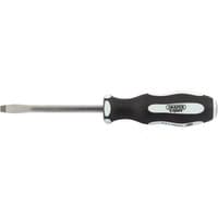 Draper Expert screwdriver with black soft grip handle, plain slot tip, and silver shaft, size 6.5 x 100mm.
