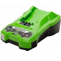 Green Greenworks 24V Single Port 4A charger with black accents and LED indicators on the front panel.