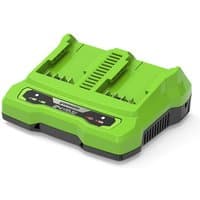 Green Greenworks 24V Twin Port 2A Charger with dual slots, black base, and LED indicators on the front panel.