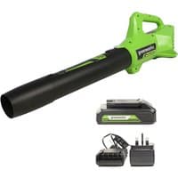 Green and black Greenworks cordless axial blower with 24V battery and 2A charger included.