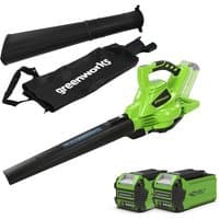 Greenworks 40V green brushless blower/vac with black nozzle, two 2.0Ah batteries, charger, and collection bag.