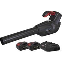 Black Sealey cordless blower with ergonomic handle, long nozzle, two 20V 4Ah batteries, and charging dock.