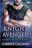 "Knight Avenged book cover featuring muscular man with crossed arms, sword on back, and stormy sky background."