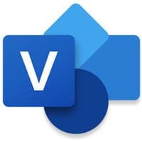 Microsoft Visio Standard 2024 icon with overlapping blue shapes and a white "V" on a dark blue square.
