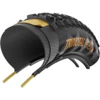Black Continental Trinotal Race Rapid 29" MTB tyre with foldable skin, textured tread, and gold branding.