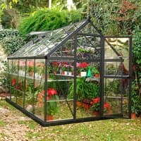 Grey polycarbonate greenhouse with clear panels, pitched roof, and walk-in door, surrounded by plants and foliage.
