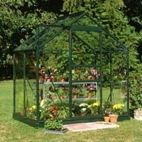 Green-framed greenhouse with large paned toughened glass, measuring 6'x4', set in a garden with plants inside.