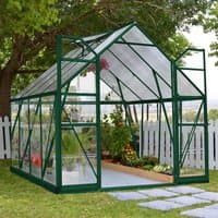 Green-framed Palram Canopia Balance Greenhouse, 8' x 8', with clear panels and peaked roof, set in a garden.