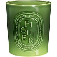 Green Diptyque Figuier candle, 1500 g, with embossed oval logo and white text on the front.