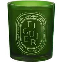 Green glass Diptyque Figuier candle with white label and elegant text design, 300g fruity scent.