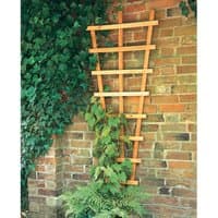 Wooden fan-shaped wall trellis with horizontal slats, mounted on a brick wall, surrounded by climbing plants.