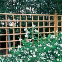 Brown heavy-duty square garden trellis fence panel with lattice design, surrounded by greenery and white flowers.