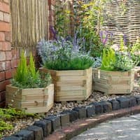 Hexagonal wooden garden planters set of 3, natural finish, filled with greenery and flowers, placed on a stone path.