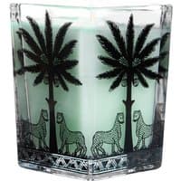 Square glass candle with green wax, black palm tree and leopard design, Ortigia Fico d'India scent.