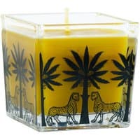 Ortigia Zagara square candle, 110g, citrus scent, in clear glass with black palm tree and leopard design.
