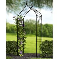 Black metal garden arch with ogee design, 8'6" tall, 3'9" wide, adorned with climbing purple flowers.